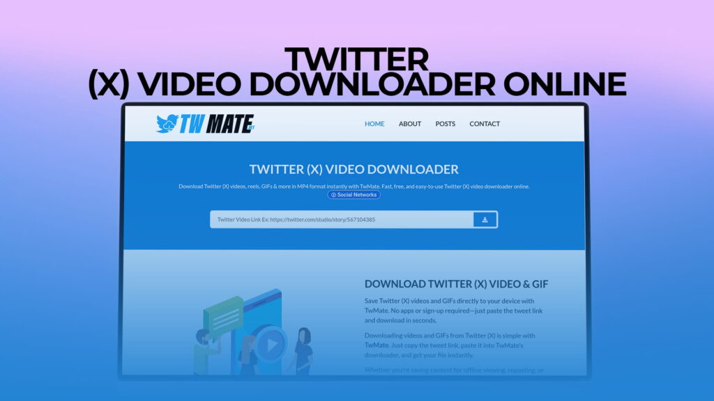 Twitter (X) Video Downloader Online