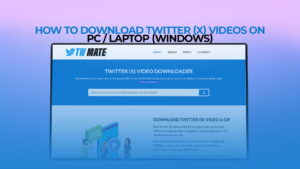 How to Download Twitter (X) Videos on PC / Laptop (Windows)