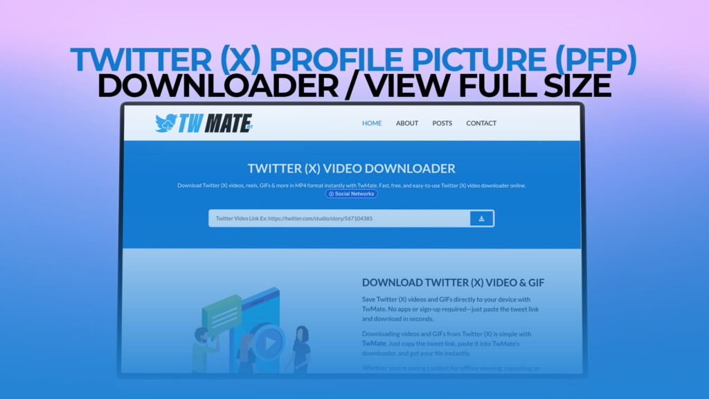 Twitter (X) Profile Picture (PFP) Downloader View Full Size