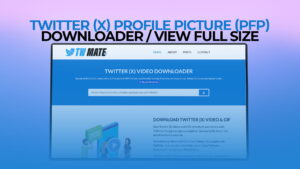 Twitter (X) Profile Picture (PFP) Downloader View Full Size